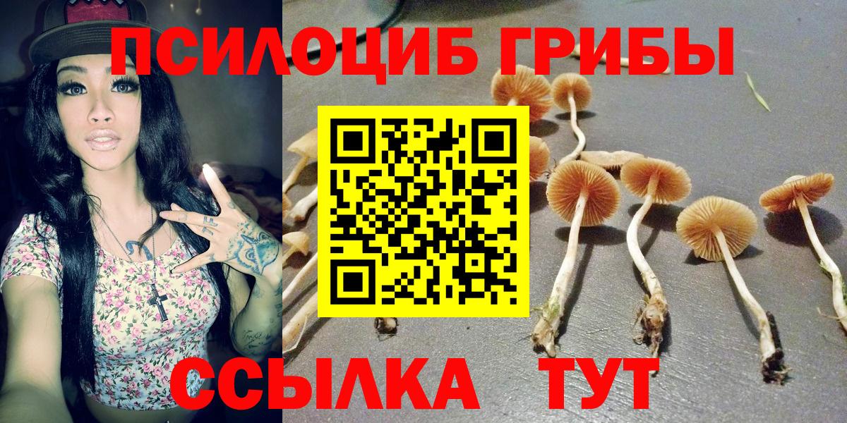 Кашира  Галлюциногенные грибы Psilocybe  Вход с VPN 