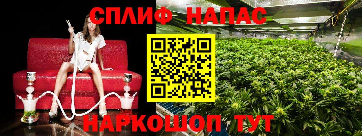 Канабис THC 21% Кашира